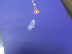 -滋府糕点(学府凯德店)
