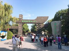 -溱湖国家湿地公园