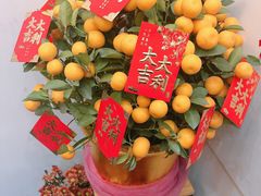 -有腥气私房菜·寻味顺德