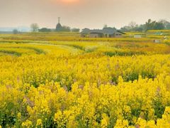 -三圣花乡旅游区