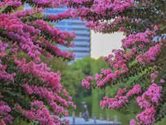 -杭州城北体育公园