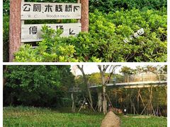 -狐尾山公园