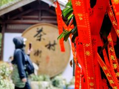 -天目湖山水园