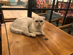 -小时光咖啡馆(北锣鼓巷店)