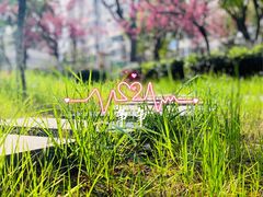 -锡师附小学(学前街校区)