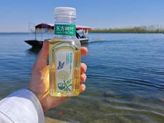 -白洋淀景区