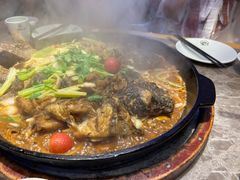 -老板恋上鱼(恒隆广场店)