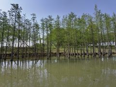 -苏州太湖国家湿地公园