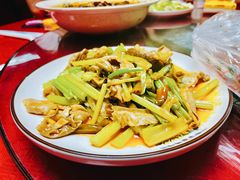 红油肚丝-蜀膳坊(洪公祠小区店)