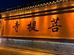 -台儿庄古城