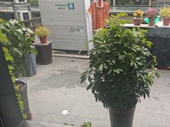 -汤品小厨·海鲜·烧烤·家常菜