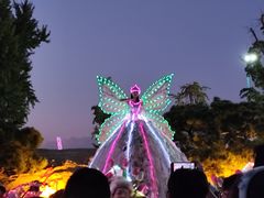 -荷兰花海
