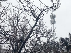 -南岳衡山风景名胜区-南岳大庙