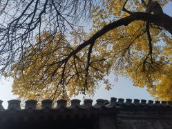 -Lisamoon礼慕纱婚纱礼服高级定制