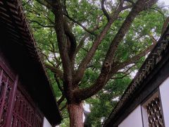 -上海醉白池公园