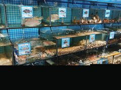 -范饭椰林川湘味海鲜·椰子鸡(三亚湾椰梦长廊店)