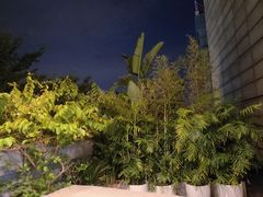 -马家斑.鲜鱼火锅(松湖万科店)