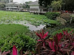 -荔湾湖公园