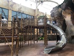 -杭州开元森泊度假乐园