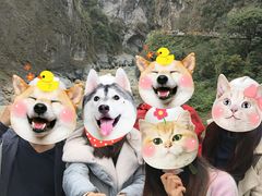 -太鲁阁公园