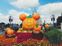 -上海迪士尼度假区