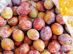 -众彩物流水产市场