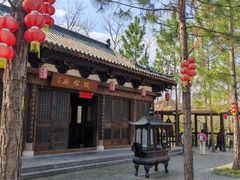 -合肥滨湖国家森林公园