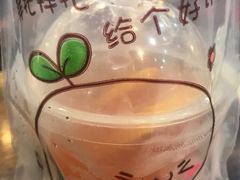 -有猫主题·治愈系猫咖(曾厝垵店)