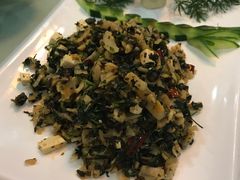 地软调苜蓿-陕北农家宴