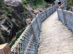 -广州白江湖森林公园