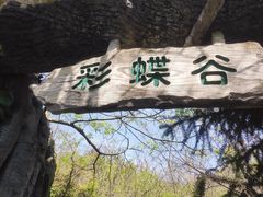 -天目湖山水园