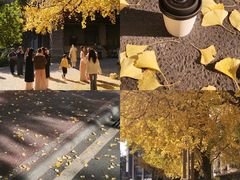 -四川大学(华西校区)