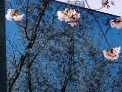 -龙美术馆(西岸馆)