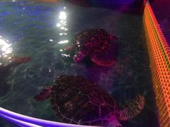 -石家庄市动物园