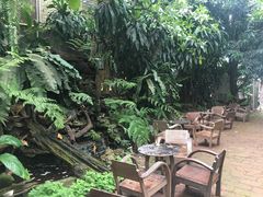 -Fern Forest Cafe