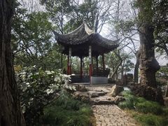 -秋霞圃