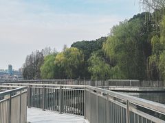 -金鸡湖桃花岛