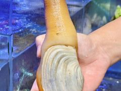 -壹号粥火锅·海鲜煲仔粥(水围店)