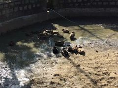 -安徽禾泉小镇