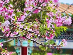 -宝墨园景区