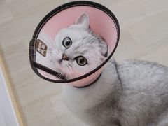 -联合动物医院(光谷诊疗中心)