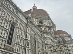 -圣母百花大教堂穹顶