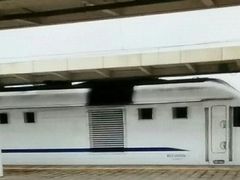 -新荟城(望京店)