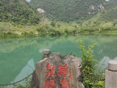 -靖西鹅泉风景区