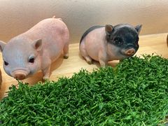 -万达广场(临港店)