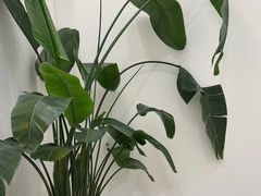 -悦身中医·经络养生调理(新天地店)