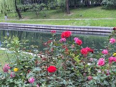-元大都城垣遗址公园