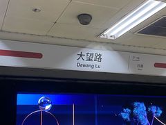 -大望路(地铁站)