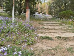 -燕郊植物园
