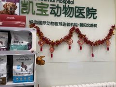-悦宠凯宝动物医院·牙科·皮肤科(朝阳北路店)